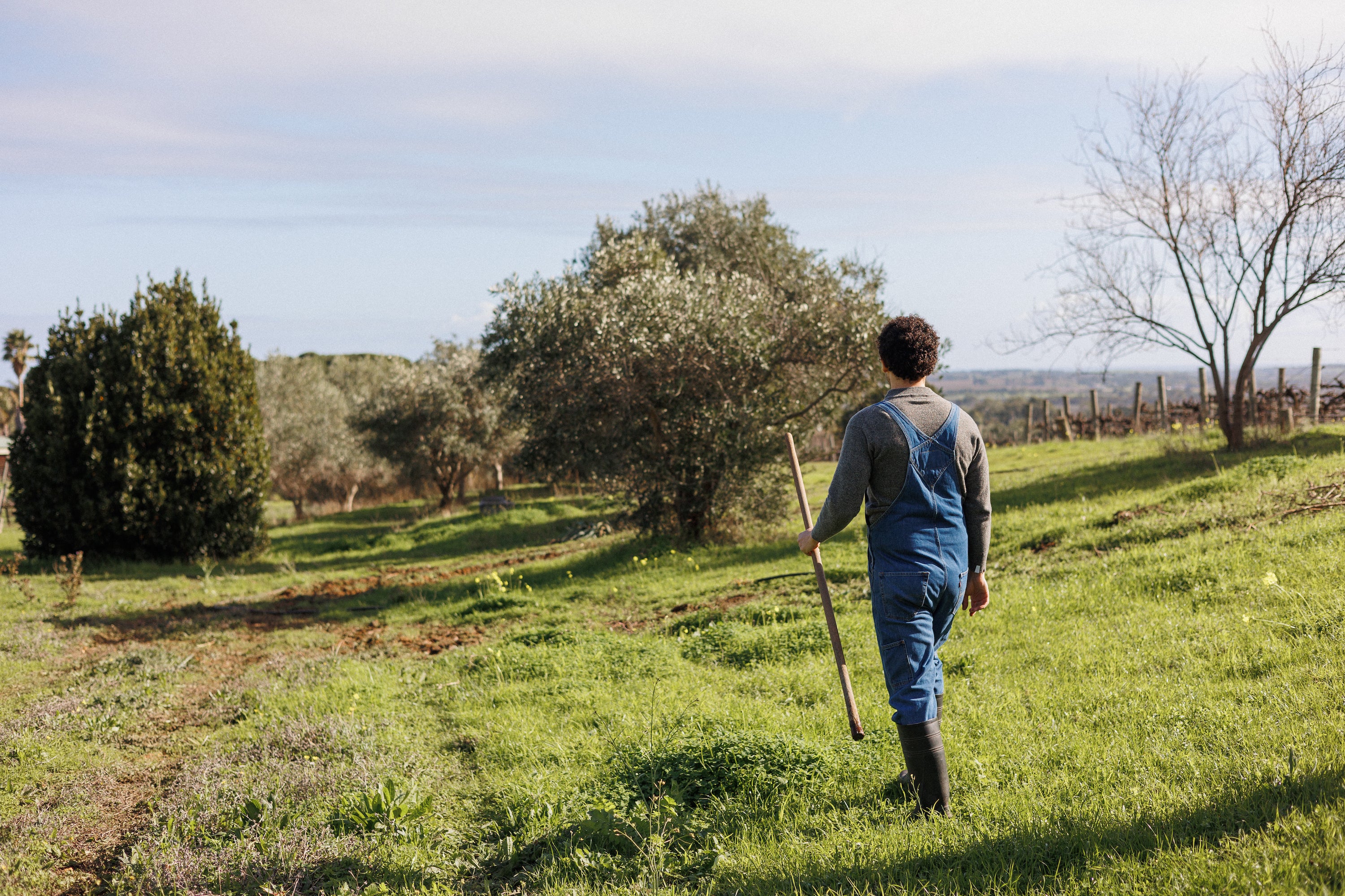 Fabiano walking with a stick in his hand through an open field of green grass.